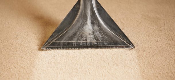Carpet cleaning head